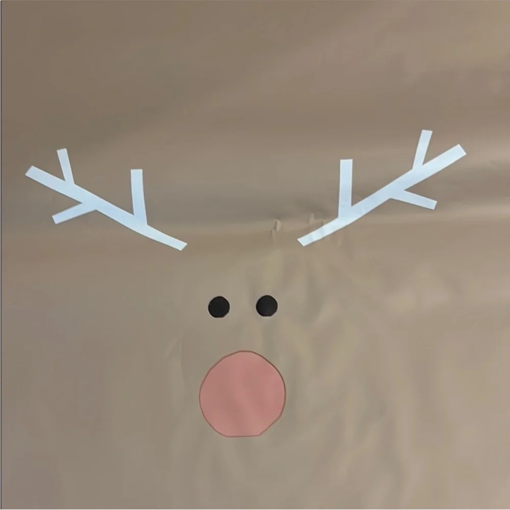 Poly Mailers ReindeerMerry Christmas Shipping Supplies Qty 10 14.5 X 19